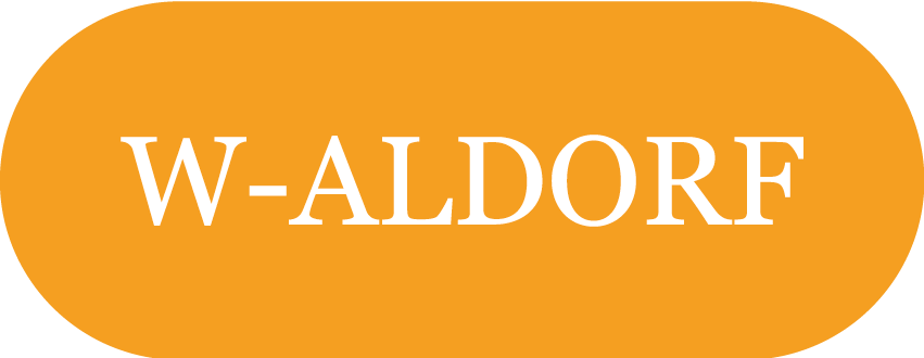 website logo